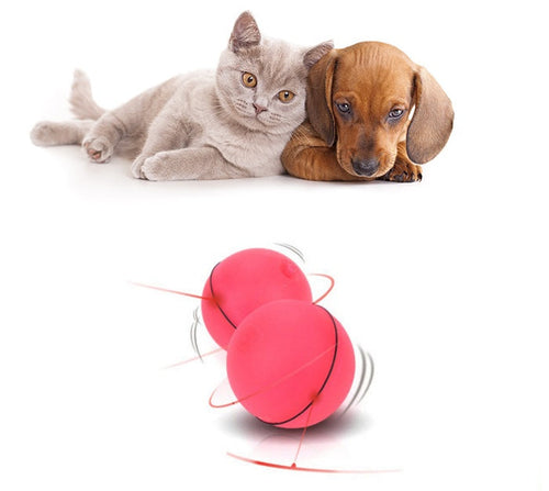LED Laser Electronic Rolling Pet Funny Cat Toy Ball Pung.G