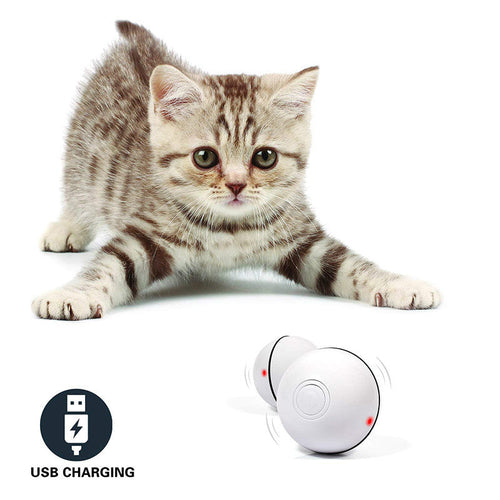LED Laser Electronic Rolling Pet Funny Cat Toy Ball Pung.G