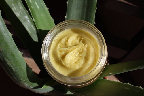 Anti Aging Night Cream Face Moisturizer Organic Green Tea Pung.G