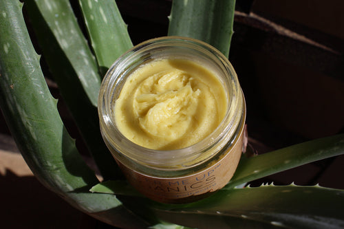 Anti Aging Night Cream Face Moisturizer Organic Green Tea Pung.G