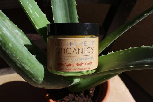 Anti Aging Night Cream Face Moisturizer Organic Green Tea Pung.G