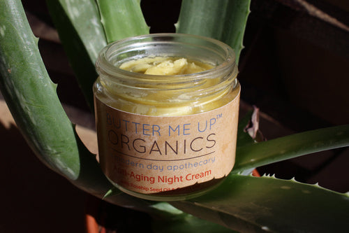 Anti Aging Night Cream Face Moisturizer Organic Green Tea Pung.G